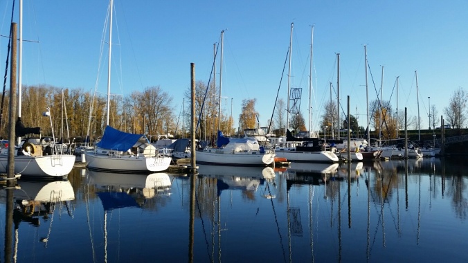 Cold and clear - a peaceful day at the marina in the PNW