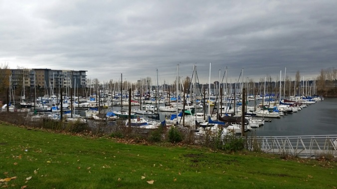 The view overlooking the marina in Portland OR